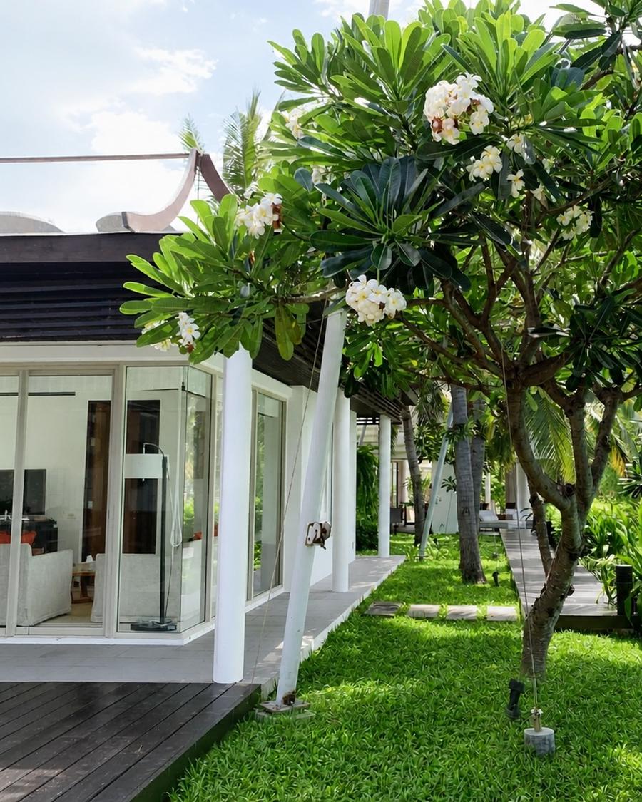 The 2nd Pavilion seen from the garden, frangipani in flower beside the timber deck