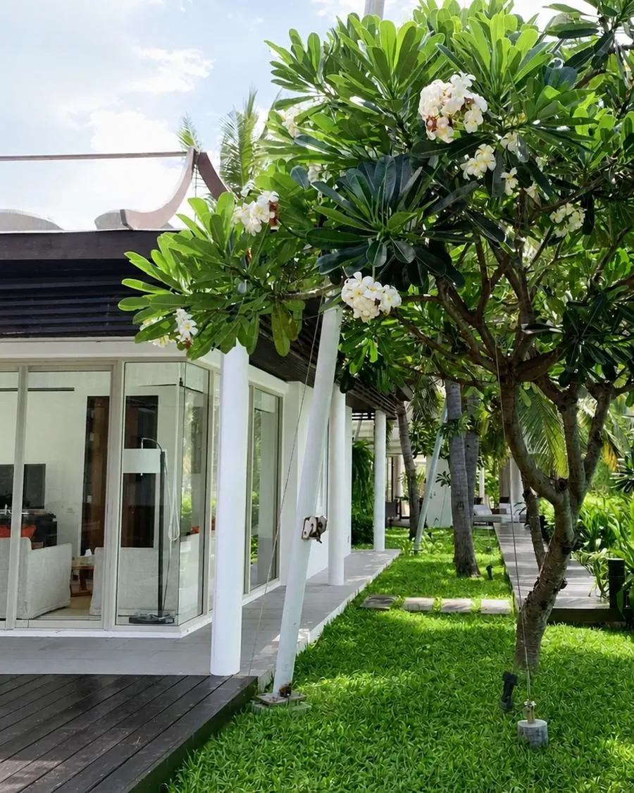 The 2nd Pavilion seen from the garden, frangipani in flower beside the timber deck