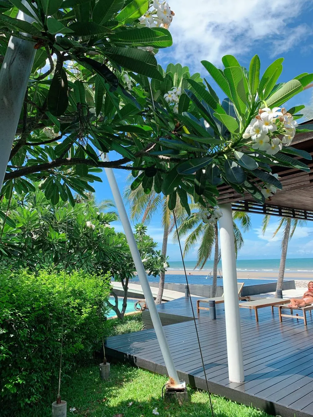 The Beachfront Pavilion terrace under the frangipani
