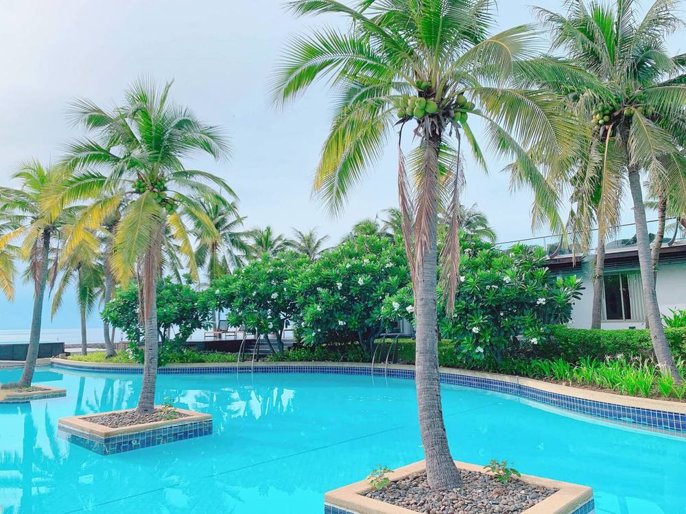 Palm islands in the pool beside the pavilions